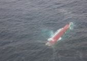 "Шанс-101" оторвался от буксира и дрейфует в Японском море