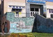 Депутат Думы Владивостока предложил продать городской океанариум