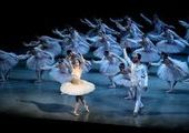 В Приморье набирают балетную труппу