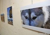 Уникальная фотовыставка о Байкале открылась во Владивостоке