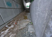 Нечищеный подземный переход в районе "Восточной верфи" во Владивостоке опасен для людей