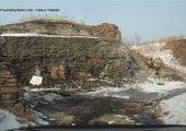 На форте Суворова скинули десяток мертвых собак