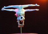Скандал с билетами в цирк для сирот разразился во Владивостоке