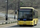 Переполненный маршрутный автобус во Владивостоке расстреляли из "воздушки"