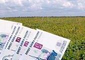 В Приморье выявлена крупная группа мошенников, продававших чужие земельные участки