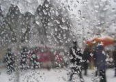Снежный циклон повалил щиты и повредил иномарки во Владивостоке