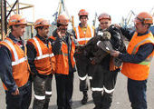 В Приморье рабочие спасли тюлененка в морском порту