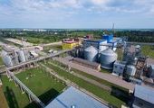 Первый на Дальнем Востоке завод по глубокой переработке сои построят в Приморье