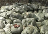 Чтобы уничтожить 50 т. свинины, в Уссурийске создали комиссию по чрезвычайным ситуациям