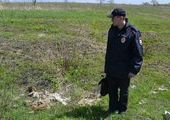 По факту обнаружения останков собак в Уссурийске возбуждено уголовное дело