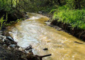 Уссурийск окружают «очень грязные» и «экстремально-грязные» реки