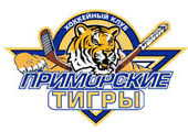 Жители Приморья выбирают имя и логотип для хоккейной команды