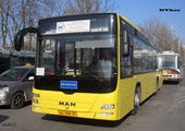 Новый автобусный маршрут соединит «Академгородок» и Патрокл во Владивостоке