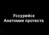 Приморские предприниматели, защищая свои права, обратились к Интернету и прокурору