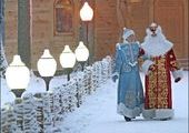 Резиденция Деда Мороза может появиться в Арсеньеве