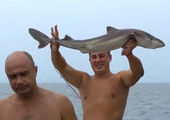 Рыбаки во Владивостоке ловят акул и отпускают их в море