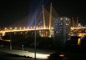 СК: парень мог упасть с Золотого моста во Владивостоке случайно
