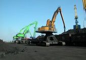 В Приморском крае защитники природы ополчились против угольных терминалов