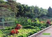В Ботаническом саду во Владивостоке вновь разразился скандал