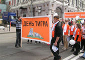 В этом году во Владивостоке пройдет не просто день тигра, а целый тигриный карнавал