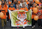 Рыже-полосатое шествие в честь Дня тигра состоялось во Владивостоке