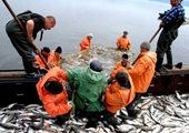 Деятельность ФАС России становится настоящим кошмаром для рыбаков всей страны