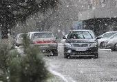 ГАИ советует автомобилистам Приморья не выезжать из-за мокрого снега