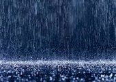 Сильный дождь ожидается в Приморье в четверг