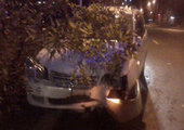 Неизвестный угнал машину полицейского и врезался в дерево в Приморье