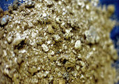 Перспективные золотоносные участки нашли геологи в Приморье