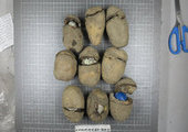 Наркотическое "ассорти" в картошке изъято в колонии в Приморье