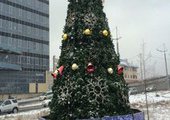Блогеры Приморья о первой новогодней елке: переплаты и ранняя радость