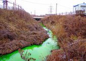 Экологи Приморья проверят химический состав позеленевшей реки в Артеме