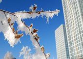 Синоптики обещают Приморью холодный бесснежный декабрь
