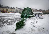 За упавшую ёлку в центре Владивостока ответственность понесет подрядчик