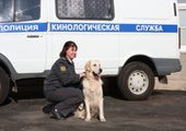 В Приморье полицейская собака обнаружила наркотическое средство у водителя большегруза