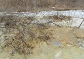Озеро под Владивостоком загрязнено неизвестным веществом