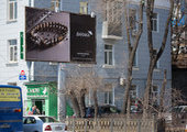 Во Владивостоке рекламные щиты важнее деревьев