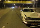 Во Владивостоке в ДТП погиб пешеход