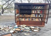 Облюбованный вандалами книжный шкаф вернут в сквер Суханова во Владивостоке после установки камер