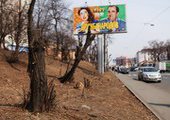 Владивосток лишается "зеленых легких"