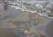 На побережье Приморья появляются новые нефтяные пятна