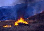 В заповеднике "Кедровая падь" выгорело 695 гектаров земли
