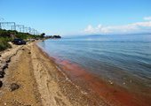 Во Владивостоке море окрасилось в ядовито-оранжевый цвет