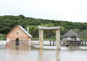 В Уссурийске после циклона смыло уникальную коллекцию карпов в реку