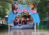 В Уссурийске затопленный зоопарк оштрафовали на 200 тысяч рублей