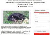 В Кировском районе детям запретили гулять на улице из-за угрозы нападения медведей