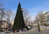 Во Владивостоке установили первую новогоднюю ёлку