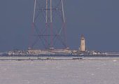 Нерпы большой стаей облюбовали льдины в районе Токаревского маяка во Владивостоке