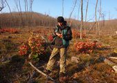 «Лесной инспектор» будет следить за незаконными вырубками тайги в Приморье